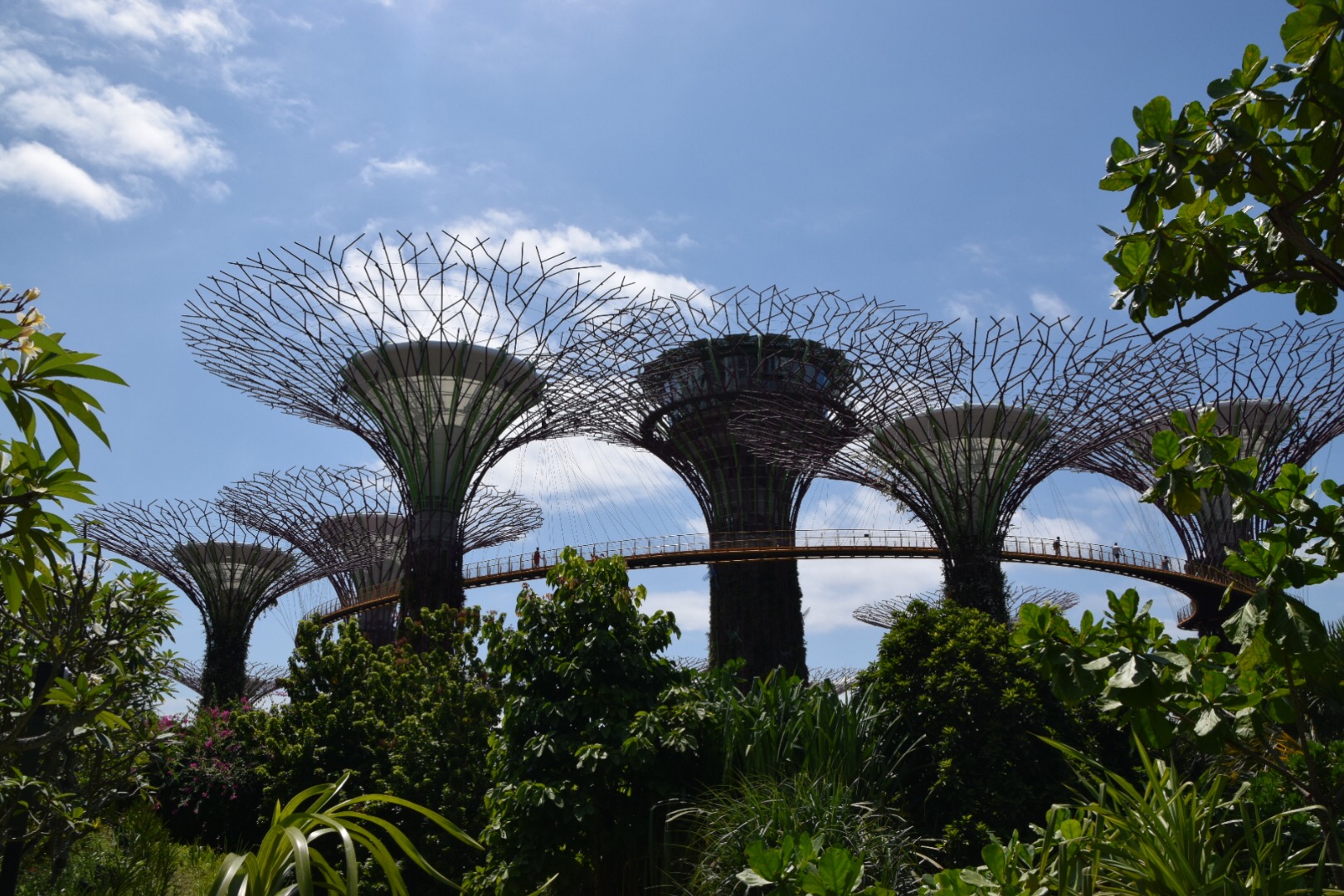 Gardens by the Bay