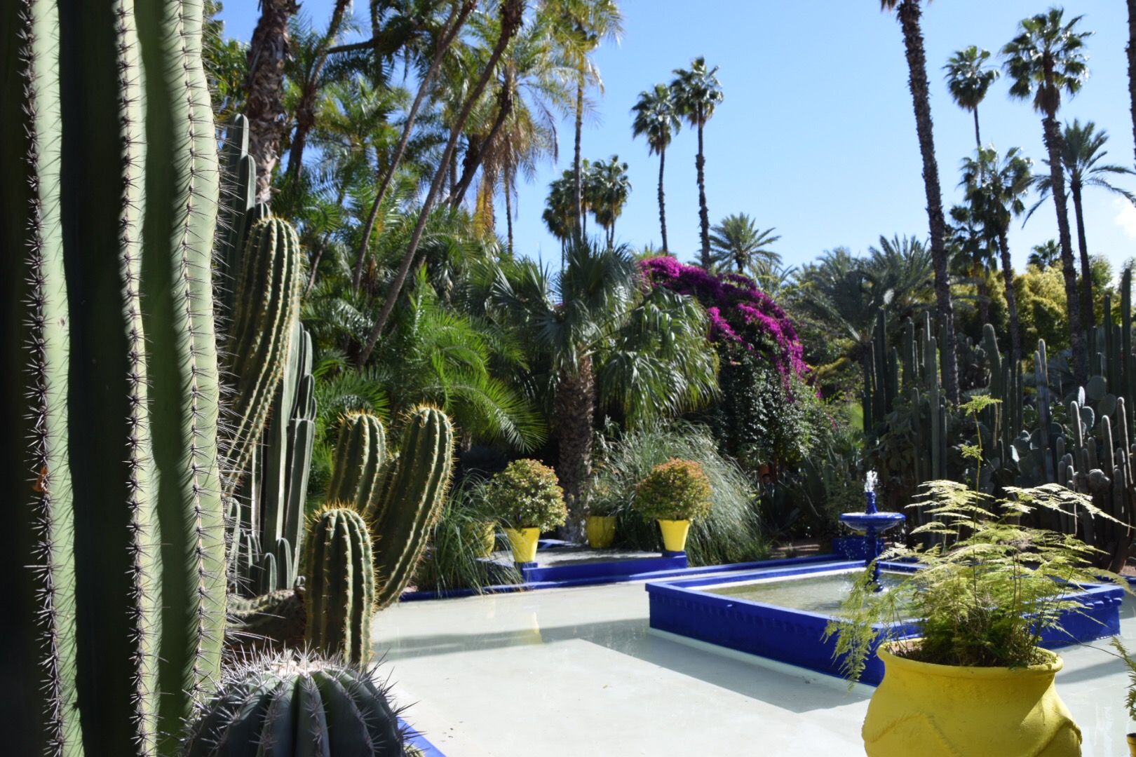 Jardin Majorelle