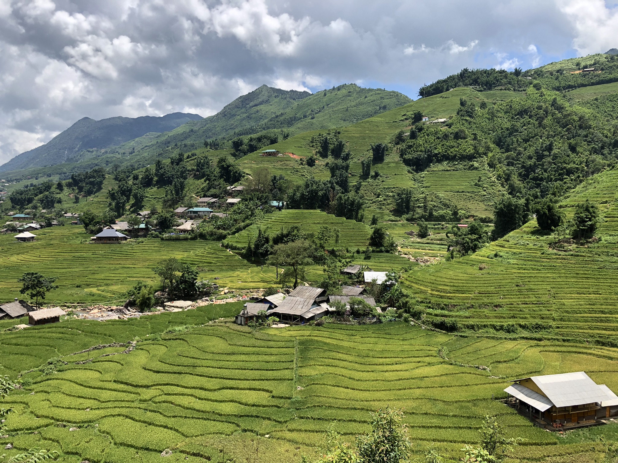 Terrazas de Mu Cang Chai